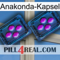 Anaconda Capsule 03